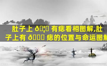 肚子上 🦟 有痣看相图解,肚子上有 🐒 痣的位置与命运图解